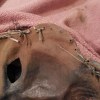 ﻿Rare 17th C Hooded German Executioners Mask - Image 7