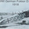 ﻿World War I German Fighter Aircraft Fabric - Image 4